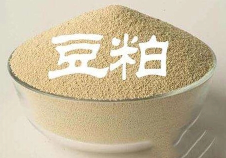 预计现货基差仍将继续向下，广东豆粕仍有向外辐射的可能