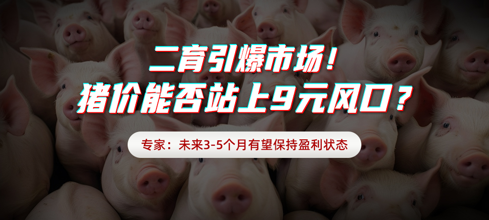 二育引爆市场！猪价能否站上9元风口？专家：未来3-5个月有望保持盈利状态