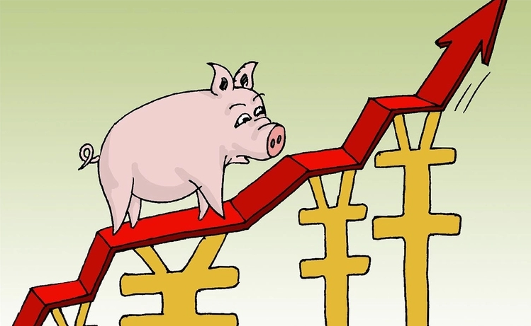  猪价涨破每公斤17元 生猪养殖端全面盈利