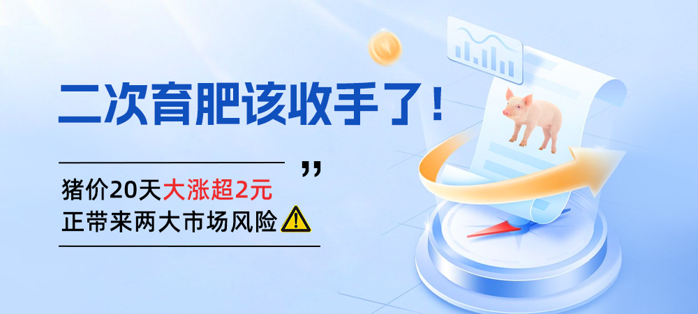 二次育肥该收手了！猪价20天大涨超2元，正带来两大市场风险！