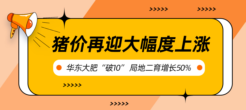 缺猪？猪价再迎大幅度上涨，华东大肥“破10”，局地二育增长50%