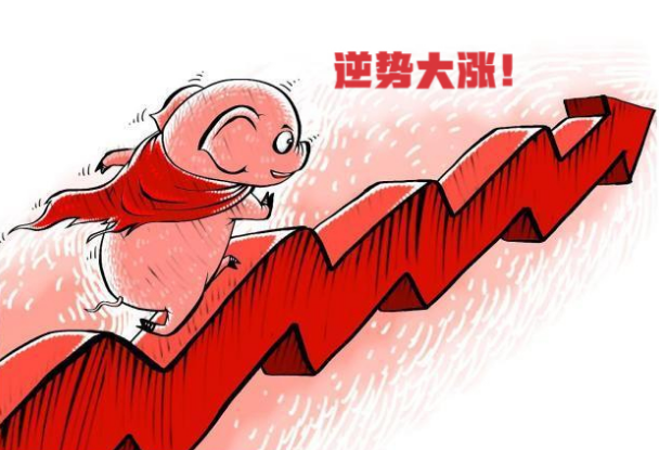 猪价最高涨至10元/斤！湖南、江西、四川发布最新产能调控措施，最高补助200万元