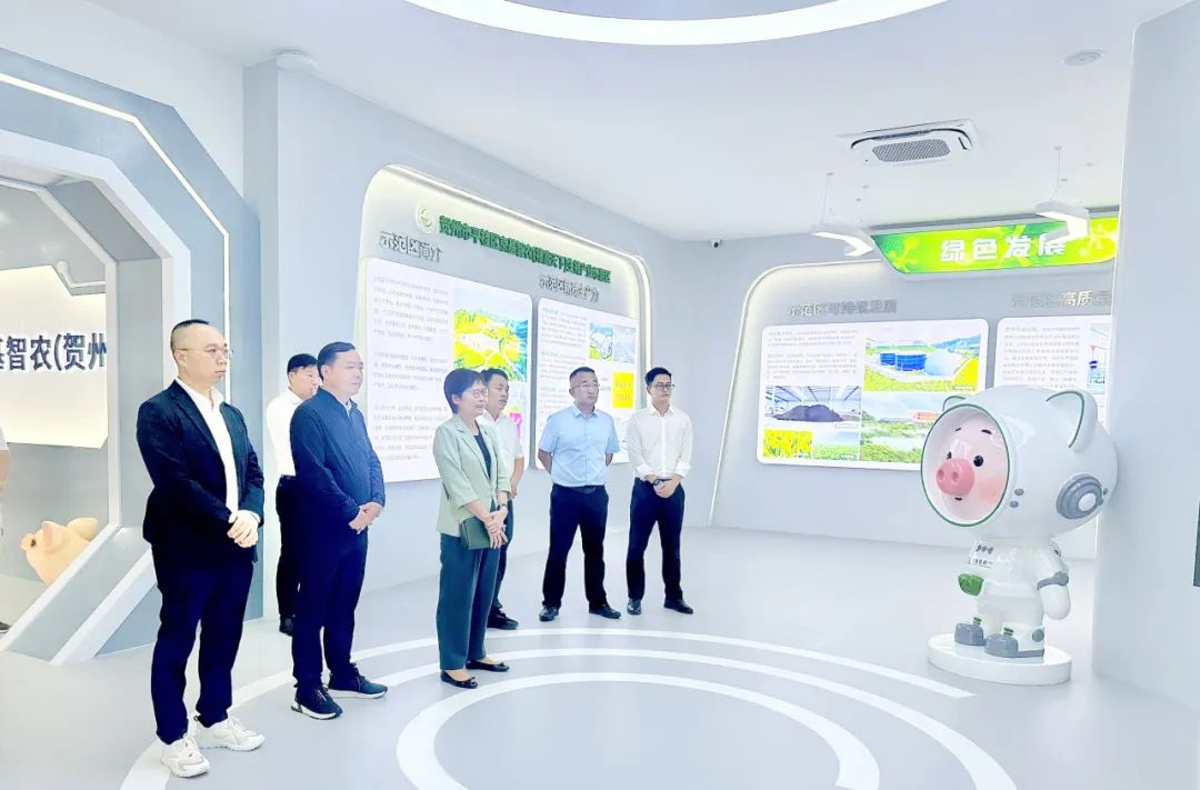 盛赞现代化智能养殖，共启湾区合作新篇章！林郑月娥莅临贺州京基智农调研