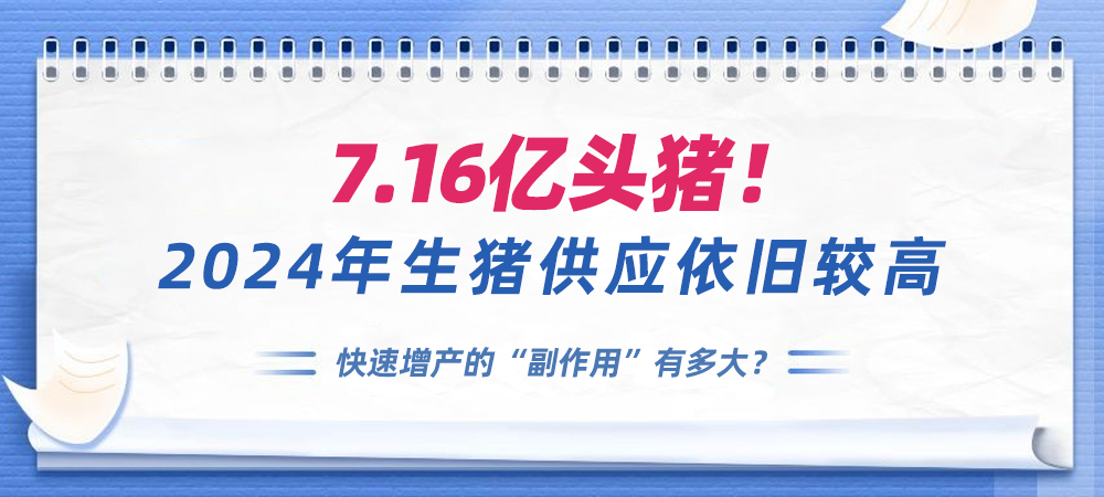 7.16亿头猪！2024年生猪供应依旧较高，快速增产的“副作用”有多大？