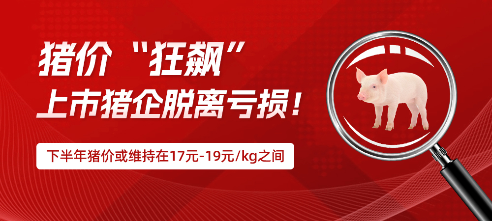 猪价“狂飙”，上市猪企脱离亏损！下半年猪价或维持在17元-19元/kg之间