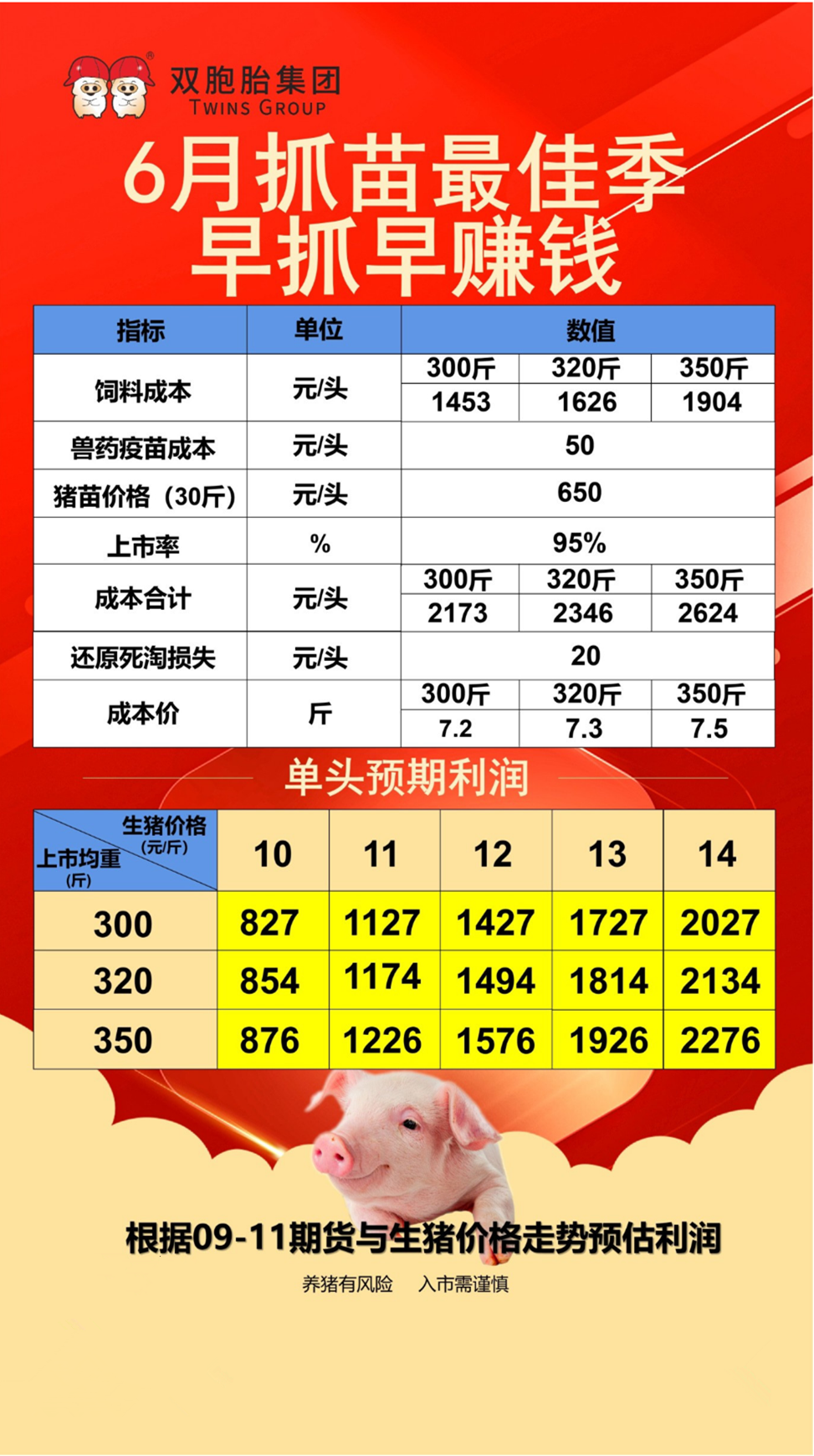 双胞胎集团