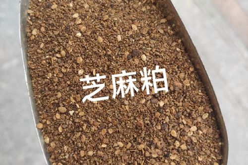 芝麻粕利用的研究现状：可部分代替豆粕用于饲料加工