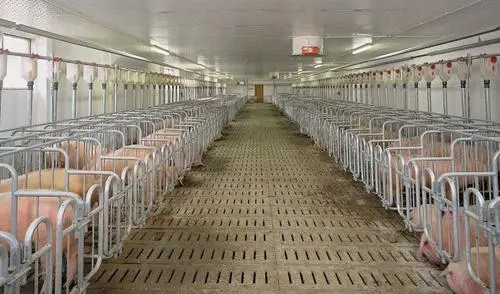 江苏发布生猪产能调控实施方案，适当放宽产能调控区间
