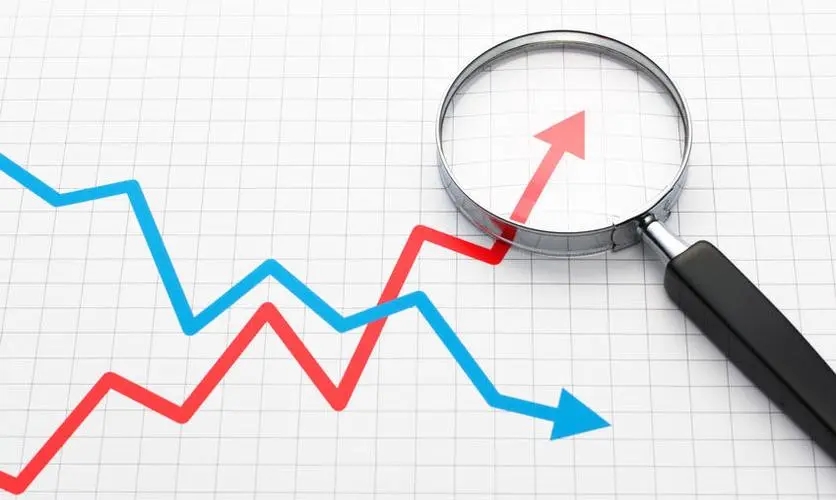 5月第5周生猪产品、鸡蛋、鸡肉、玉米、豆粕价格上涨，牛羊产品价格下跌