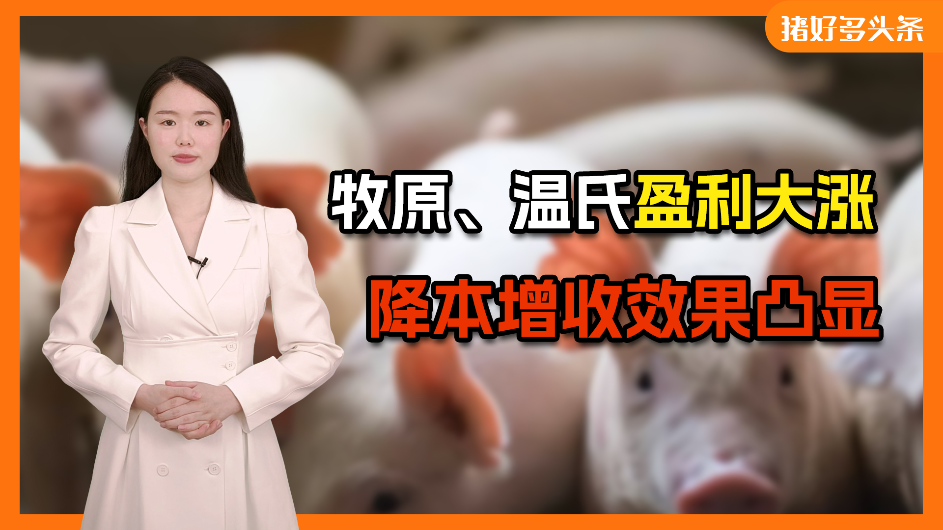 又一猪企实现7元成本？行情加持下，三大猪王盈利或已超10亿元！