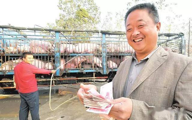 15个猪贩称猪惯用伎俩，学会卖猪不被骗！