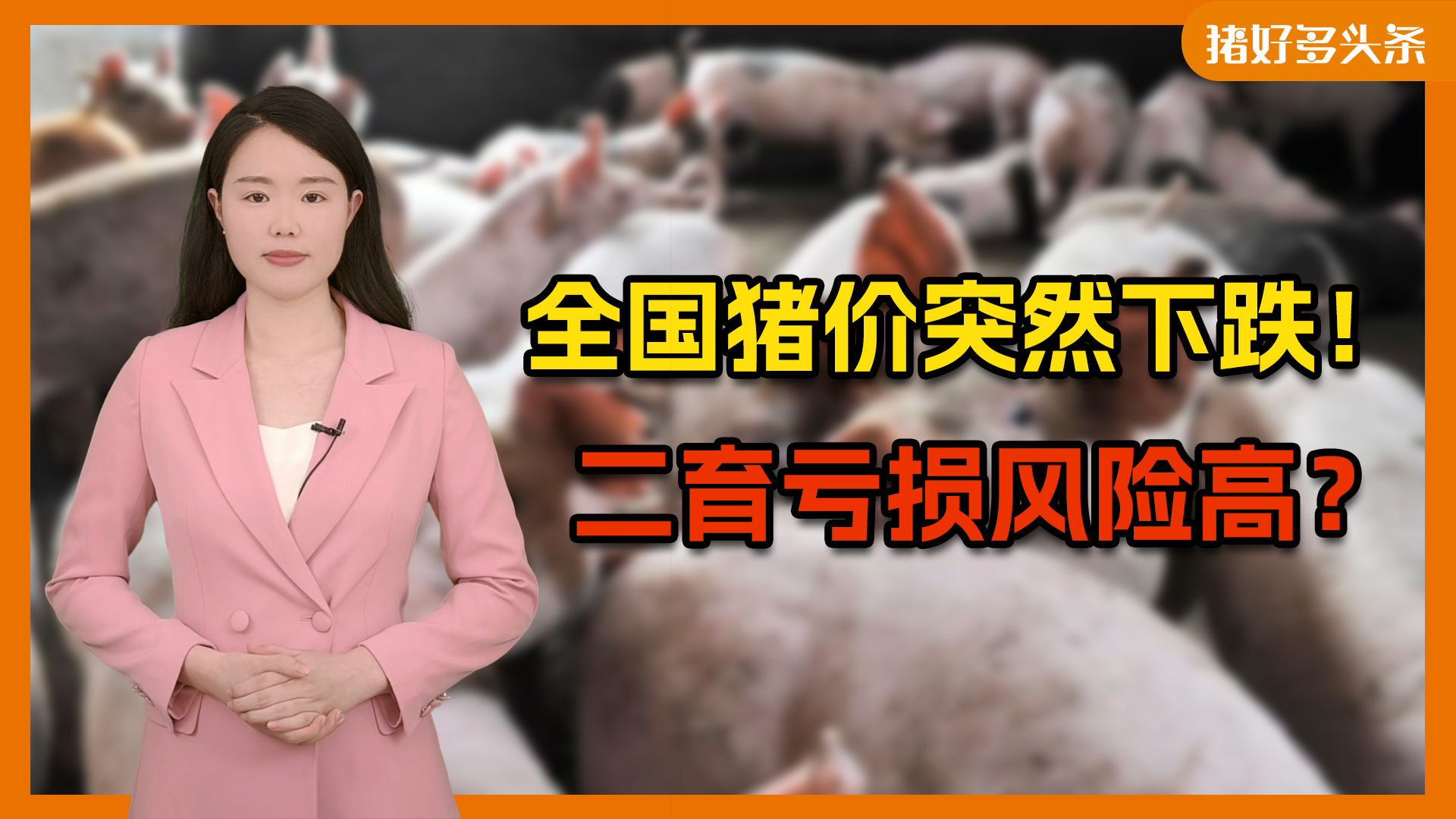 全国近30省猪价下跌！最低跌仅17元多，继续下跌恐要亏损？