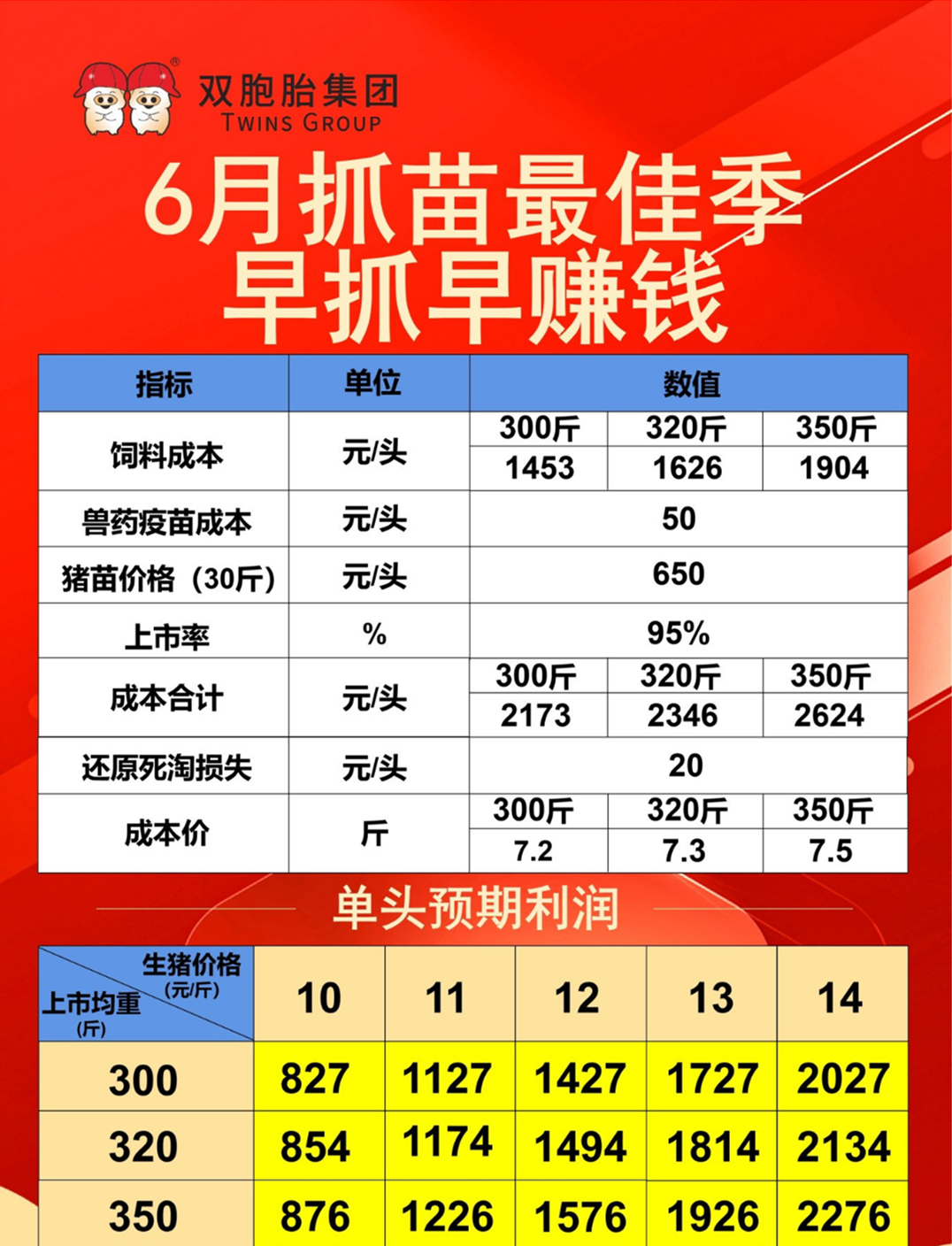 双胞胎集团