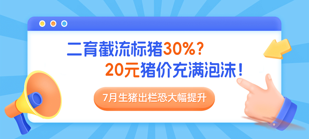 二育截流标猪30%？20元猪价充满泡沫！7月生猪出栏恐大幅提升