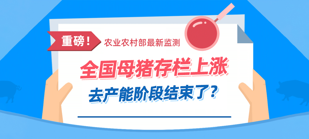 重磅！农业农村部最新监测！全国母猪存栏上涨，去产能阶段结束了？