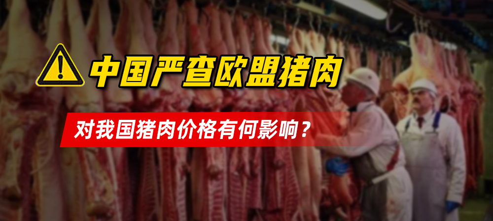 中国严查欧盟猪肉，对我国猪肉价格有何影响？