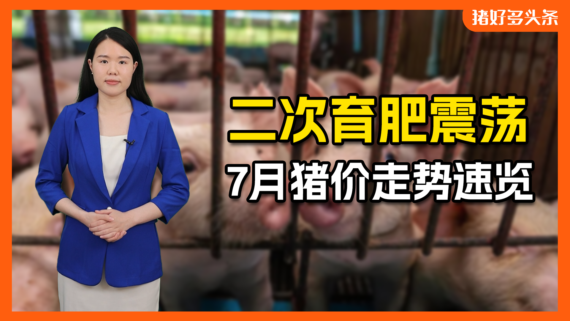 7月猪价怎么走？看准两大关键数据！机构：猪价将先跌后涨！