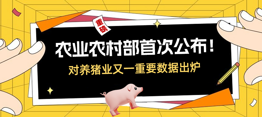 重磅！农业农村部首次公布！对养猪业又一重要数据出炉！