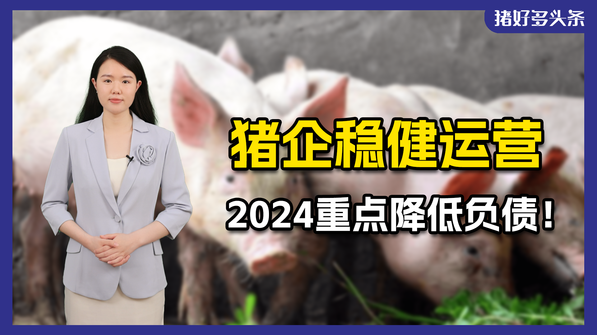 新希望扭亏为盈，计划负债降到70%以下，母猪增产至80万头！