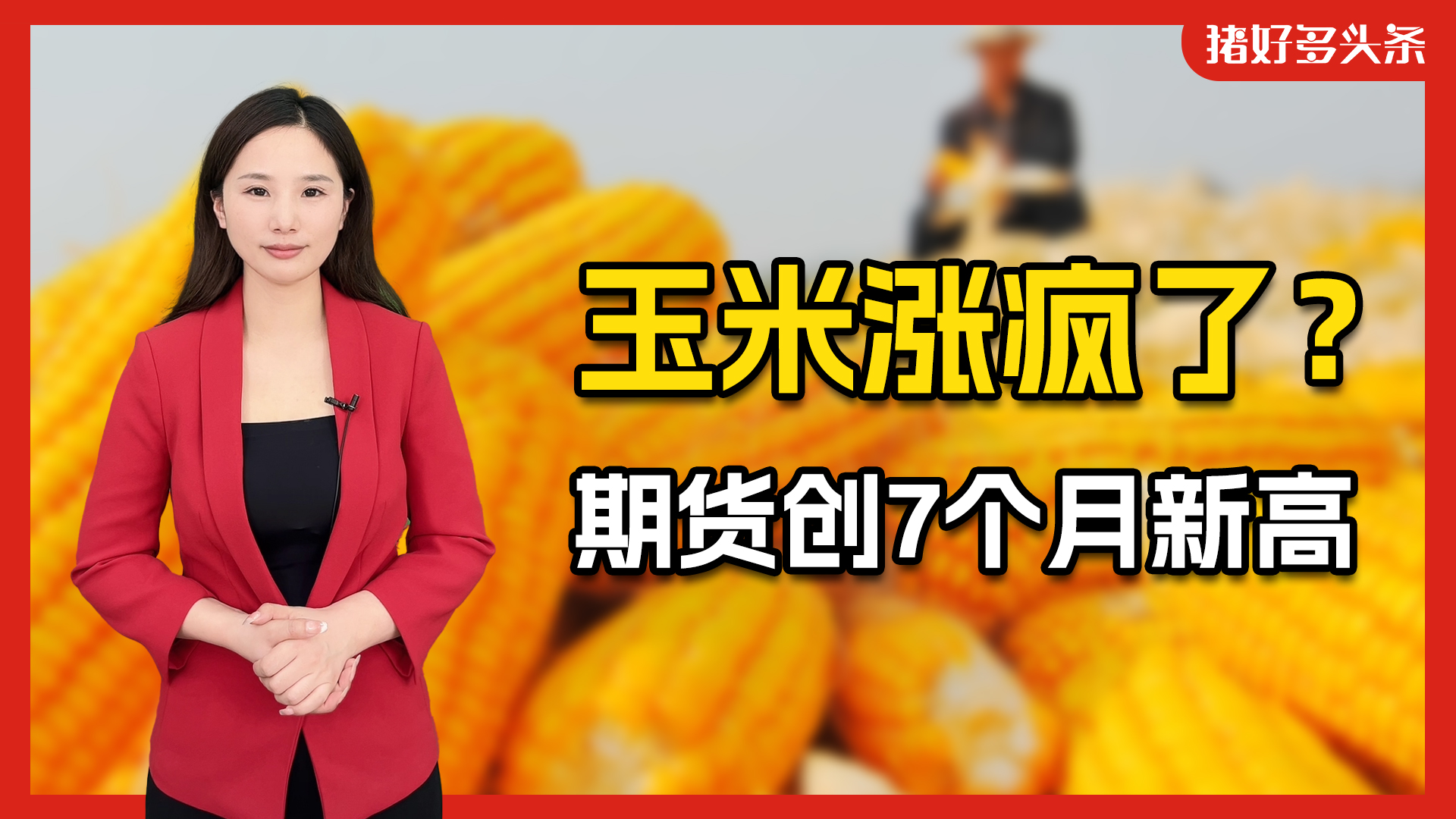 玉米涨价超100元/吨，最高冲上2500元/吨！猪饲料还得涨价？