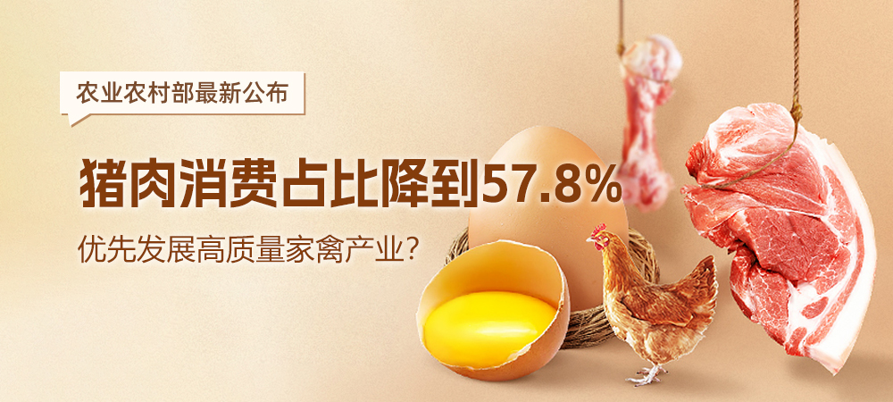 农业农村部最新公布！猪肉消费占比降到57.8%，优先发展高质量家禽产业？