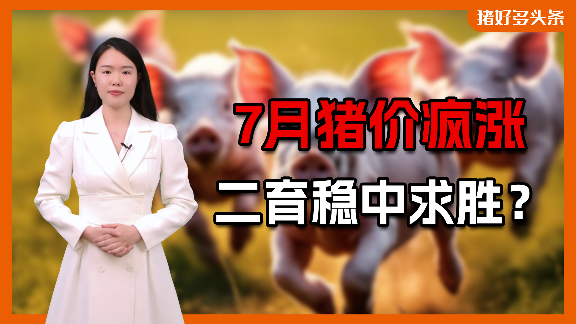 最新！全国超30省猪价猛涨，7月日均出栏量继续下降？
