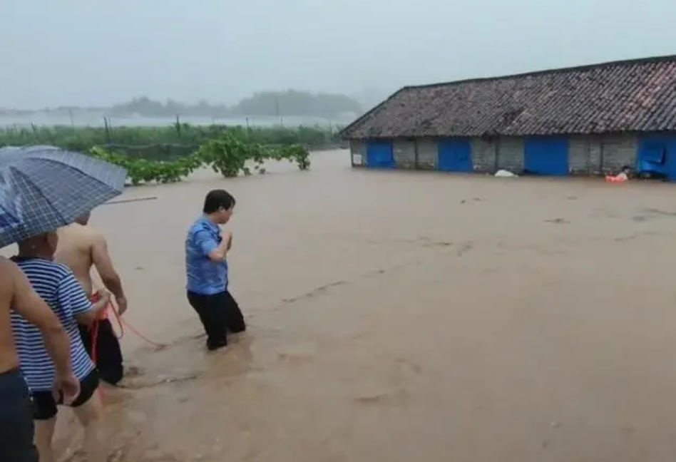 湖南部分养殖场被淹，官方：畜牧养殖要严防“大灾之后有大疫”