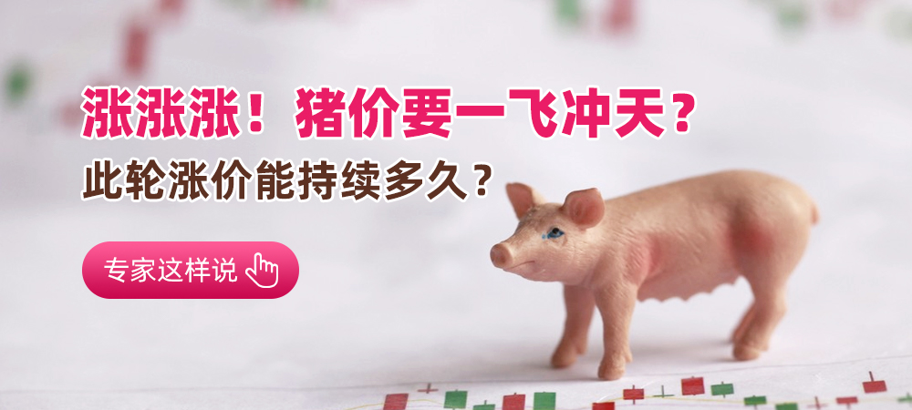 涨涨涨，猪价要一飞冲天？此轮涨价能持续多久？专家这样说