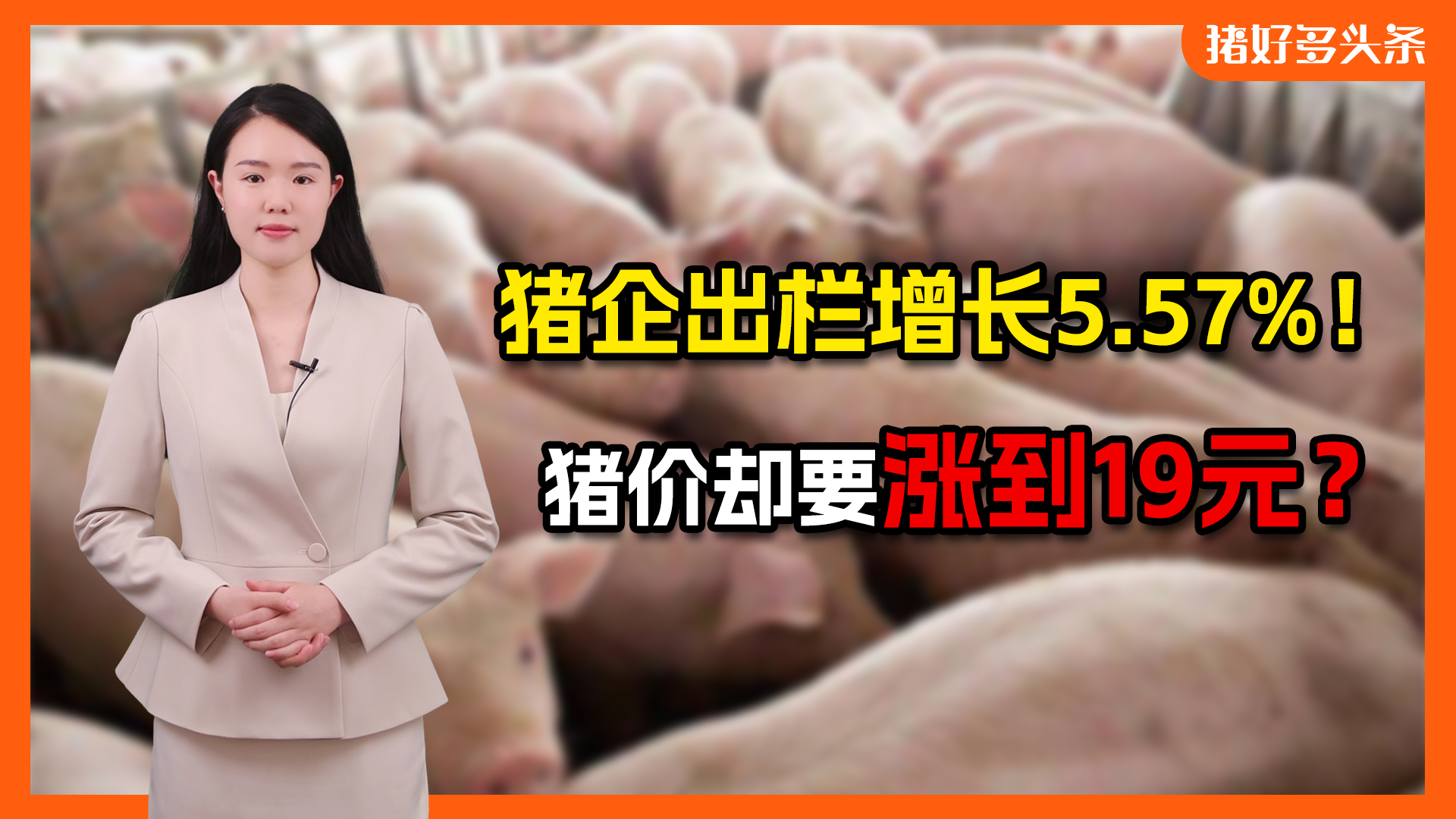 7月增产！200多家猪企出栏增长5.57%！猪价或冲高回落？