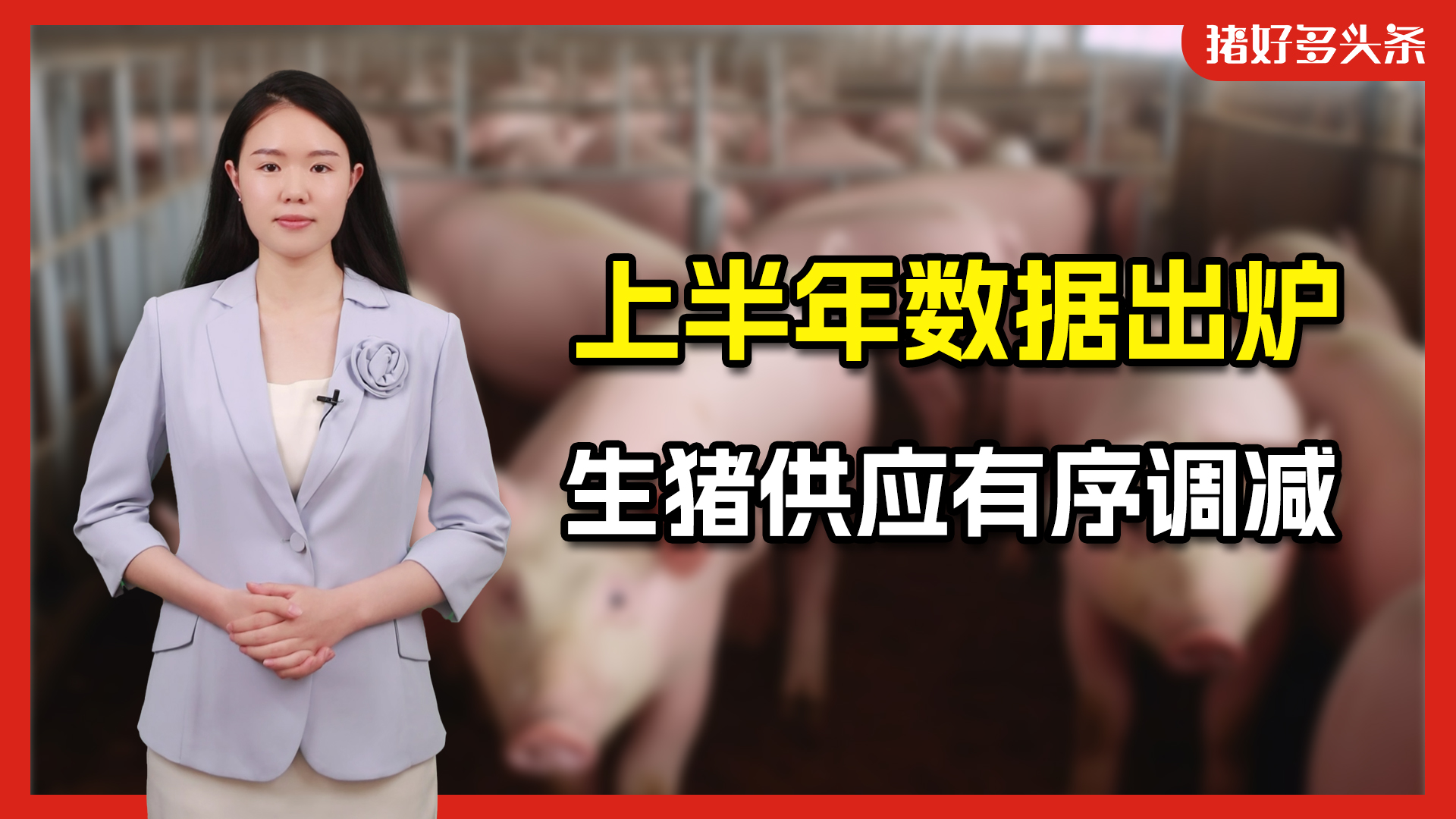 国家统计局公布！2024上半年出栏生猪3.6亿头、生猪存栏大降4.6%