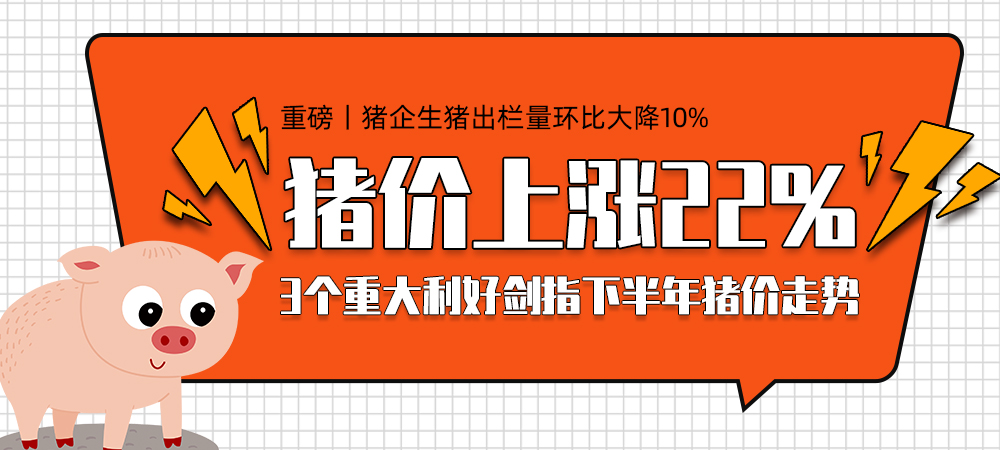 重磅！猪企生猪出栏量环比大降10%，猪价上涨22%！3个重大利好剑指下半年猪价走势！