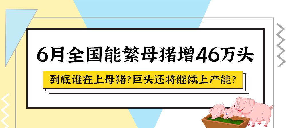 6月全国能繁母猪增46万头，到底谁在上母猪？巨头还将继续上产能？