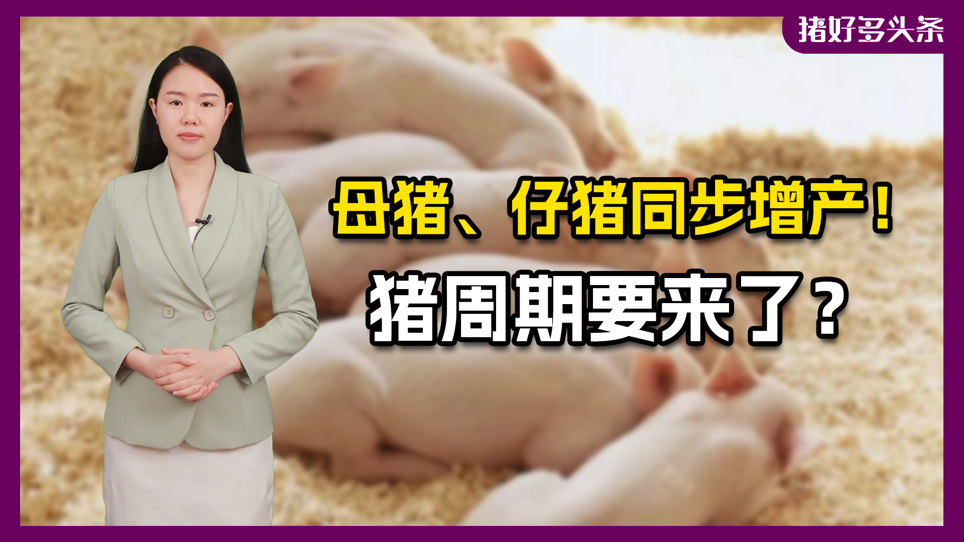 警惕！6月新生仔猪超4000万头！猪价或冲高回落？