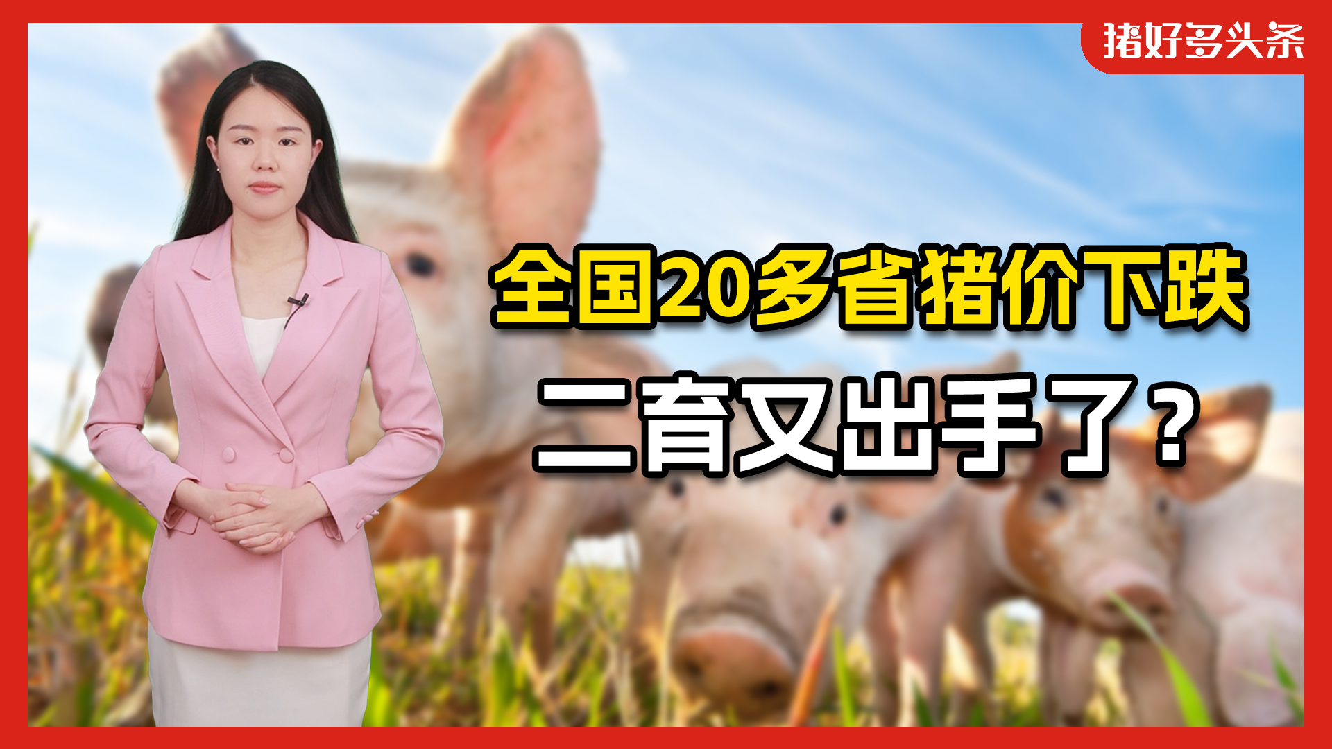 猪价跌回18元？中大猪存栏大降6.4%，二次育肥待时而动！