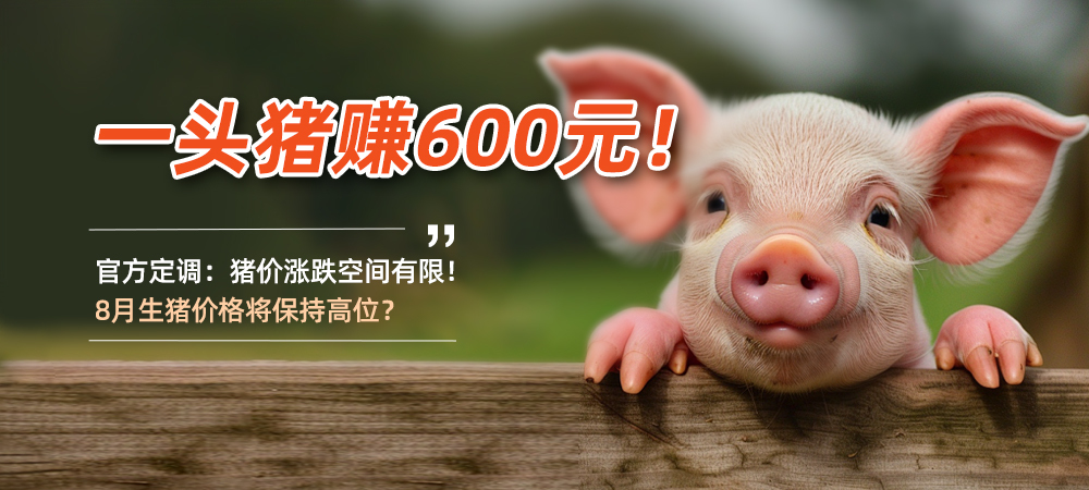 一头猪赚600元！官方定调：猪价涨跌空间有限！8月生猪价格将保持高位？
