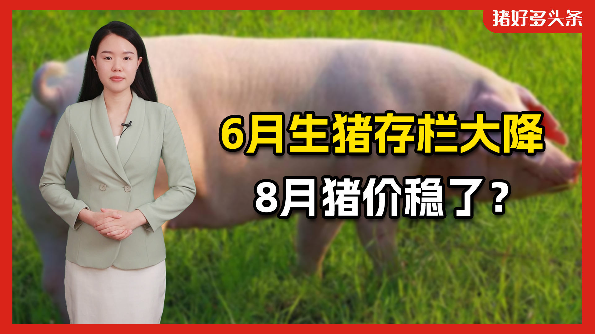 6月中大猪存栏下降，肥猪价格上行！8月或再现猪价高峰！