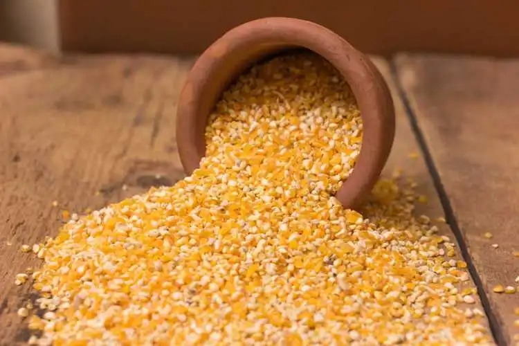 三季度玉米市场价格走势如何？