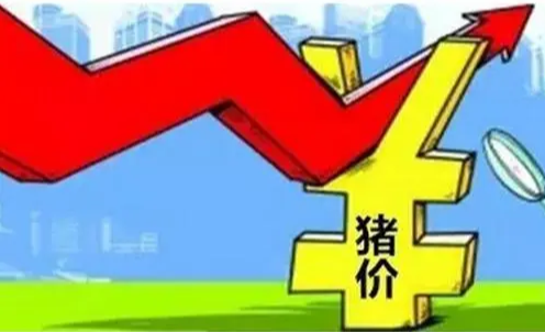 2024年7月第4周畜产品和饲料集贸市场价格情况：生猪、猪肉价格环比上涨，豆粕、育肥猪配合饲料价格环比下跌