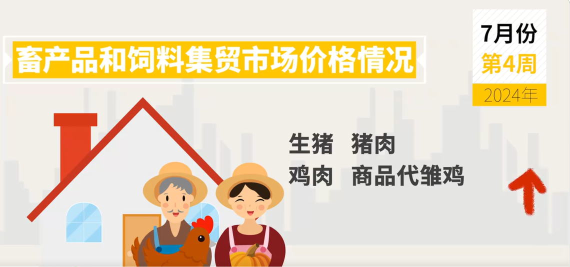 7月第4周生猪、猪肉、鸡肉、价格环比上涨 牛羊产品、豆粕价格环比下跌