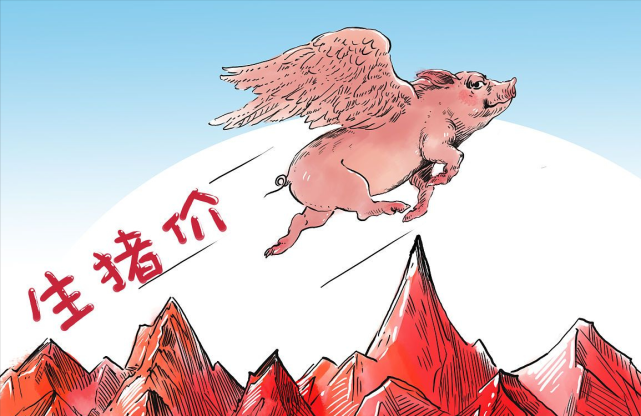 生猪行情连创年内的峰值，涨得“一塌糊涂”！