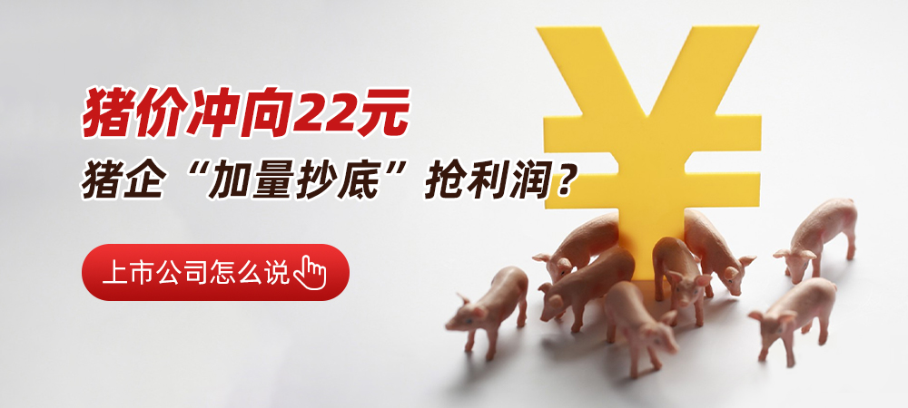 猪价冲向22元，猪企“加量抄底”抢利润？ 上市公司怎么说