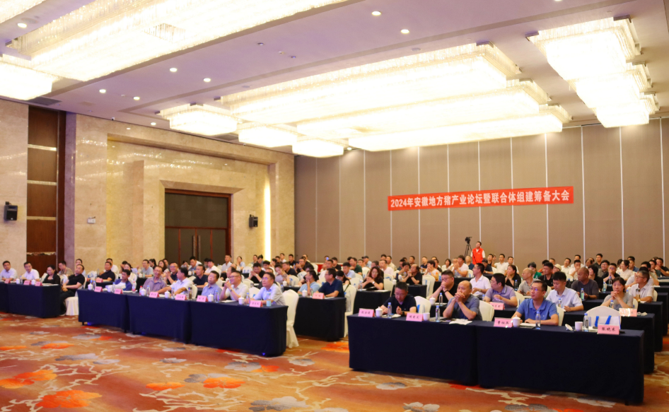 共探地方猪产业发展前景！2024年安徽地方猪产业论坛暨联合体组建筹备大会圆满落幕