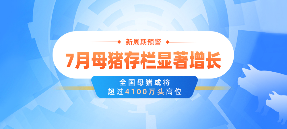 新周期预警！7月母猪存栏显著增长！全国母猪或将超过4100万头高位！