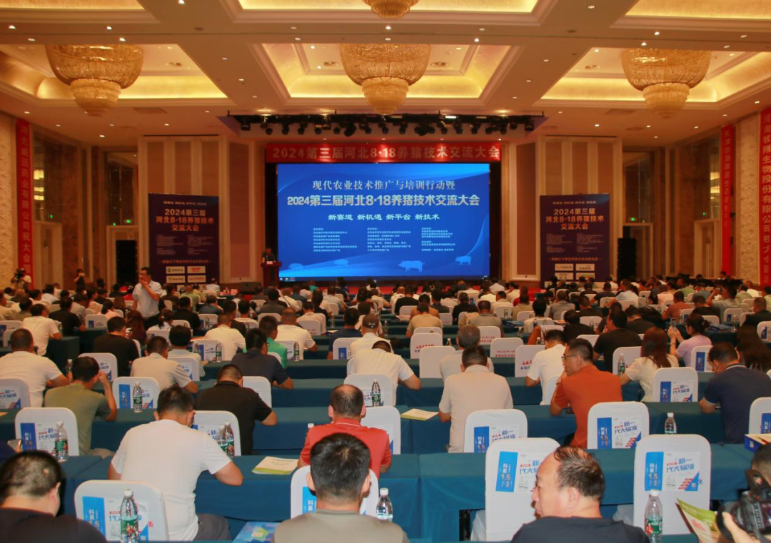 解码当下 共赢未来！2024第三届河北8·18养猪技术交流大会圆满落幕