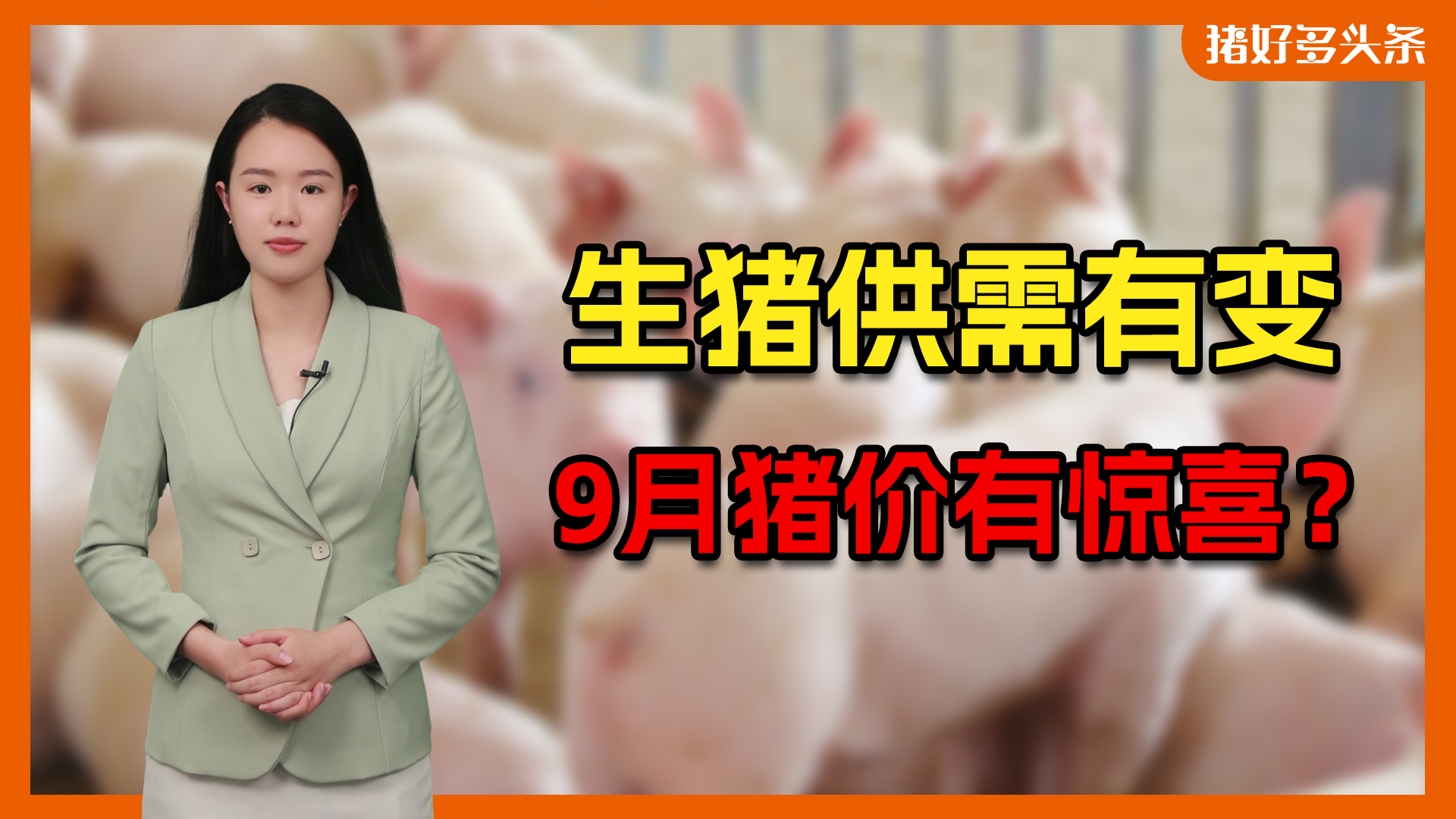 国家发改委最新预判！9月二育再入场，猪价能否重回21元/公斤？