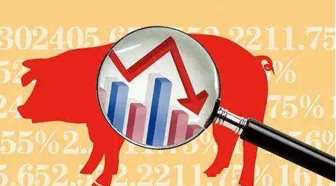 国家统计局：8月下旬生猪价格为19.7元/千克，环比降5.7%