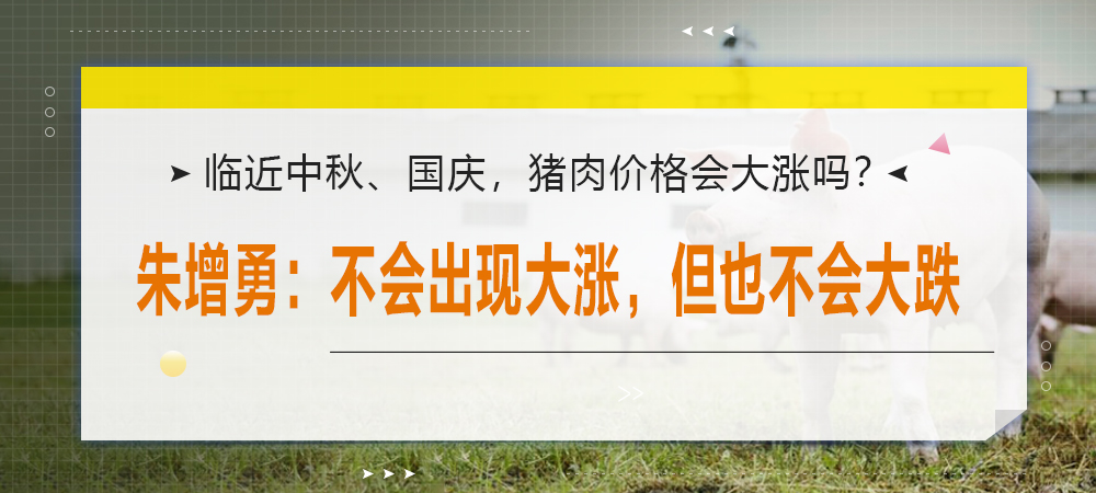 临近中秋、国庆，猪肉价格会大涨吗？朱增勇：不会出现大涨，但也不会大跌