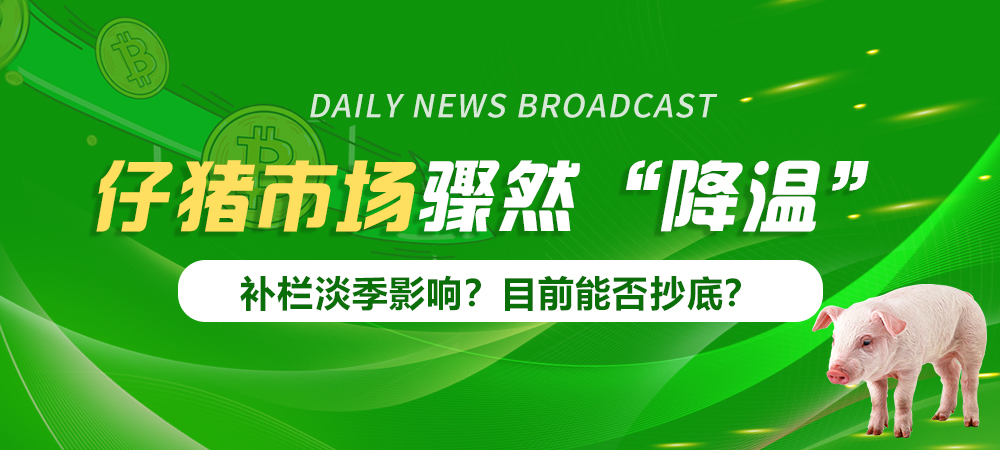 仔猪市场骤然“降温”，补栏淡季影响？目前能否抄底？