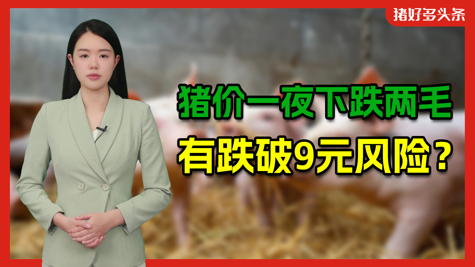 山东仔猪连降12周，全国猪价“断崖式”下跌，二育何时入场救市？