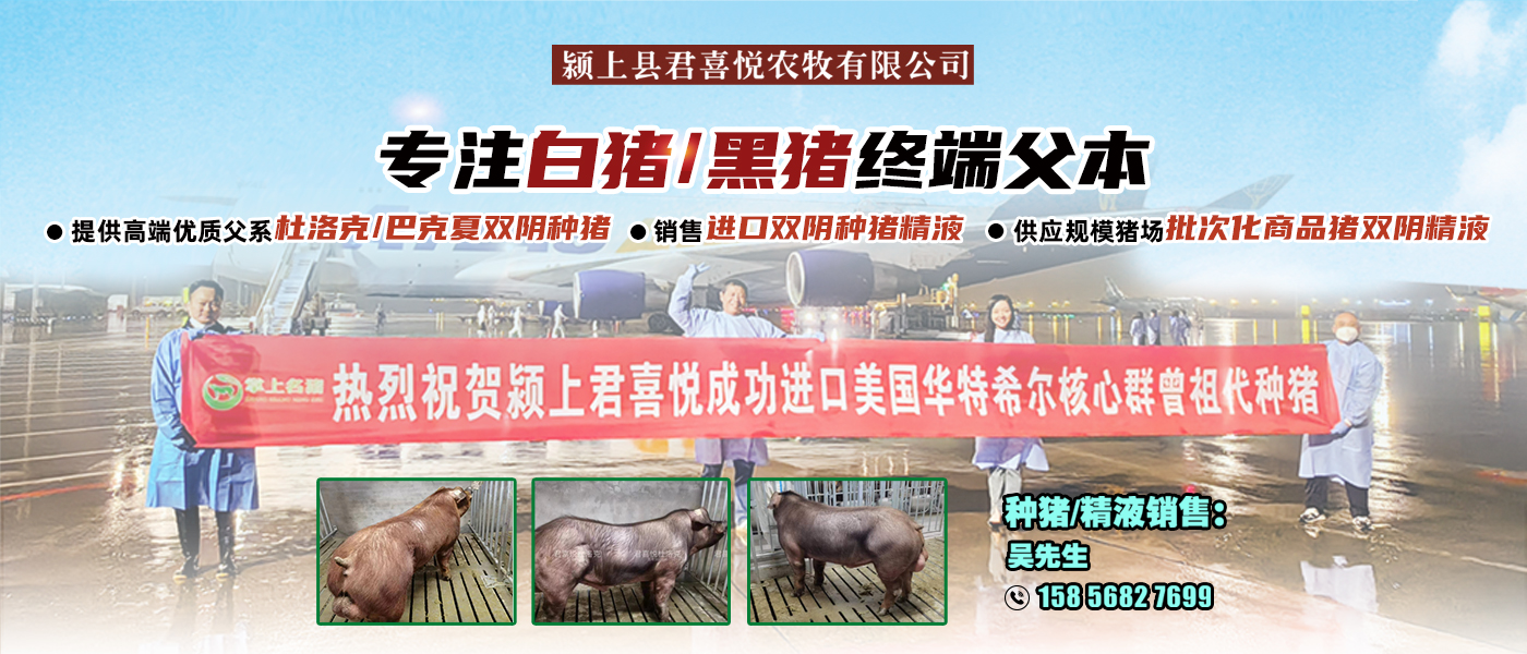 君喜悦农牧